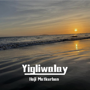 国产性爱在线视频
